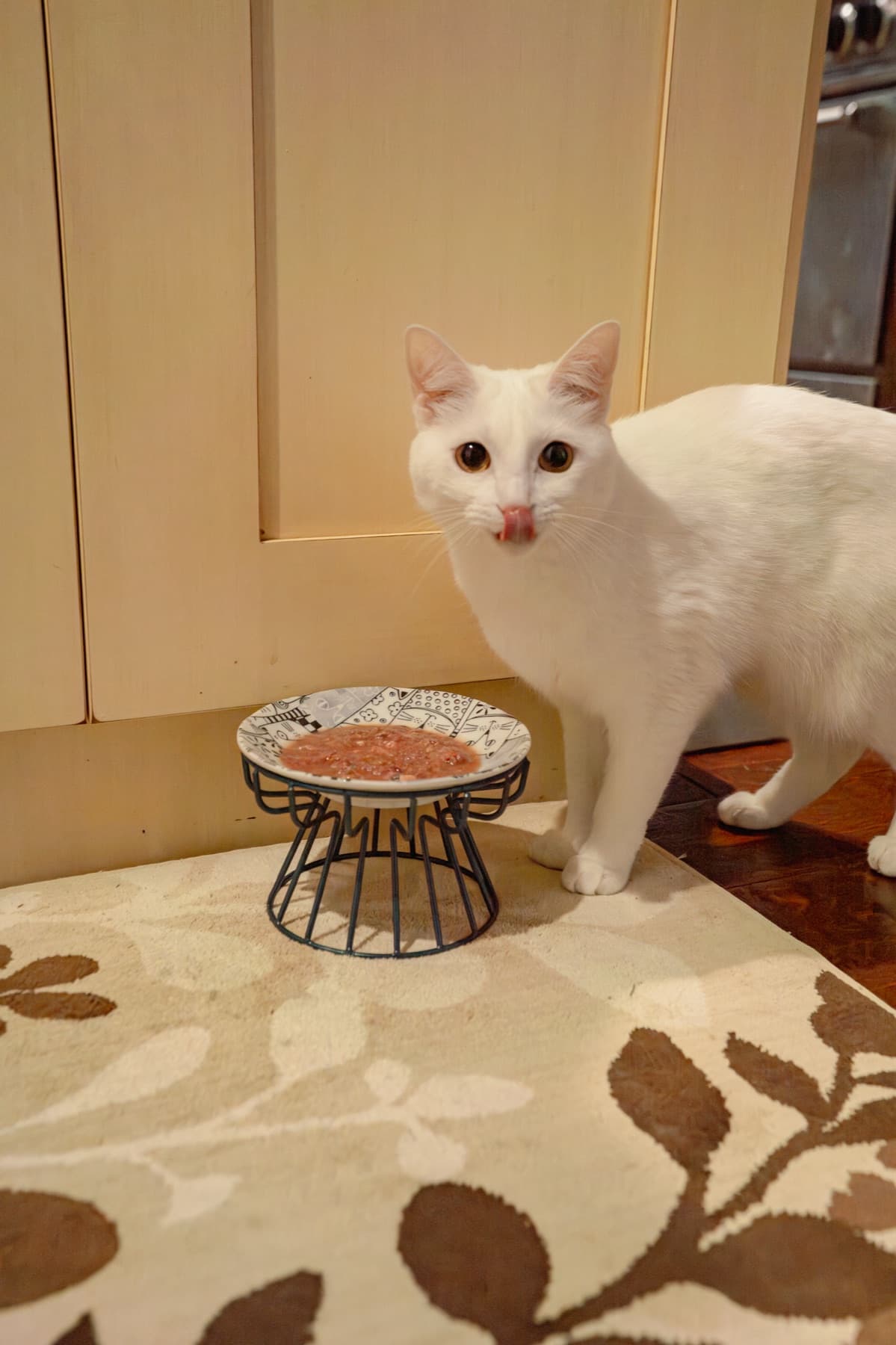 White cat licking its lips over a raised dish of Natural Pet Pantry raw cat food