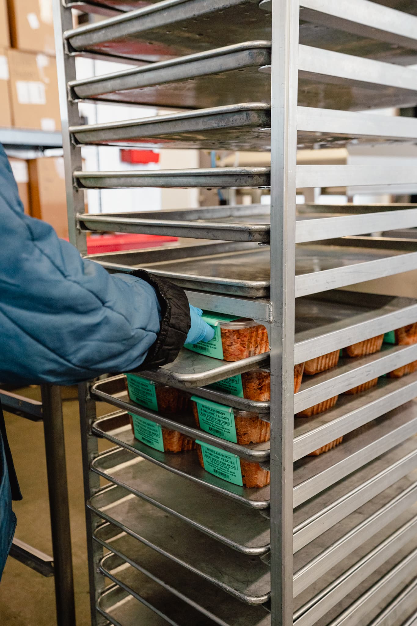 Raw bison meals on cooling trays in our Seattle kitchen