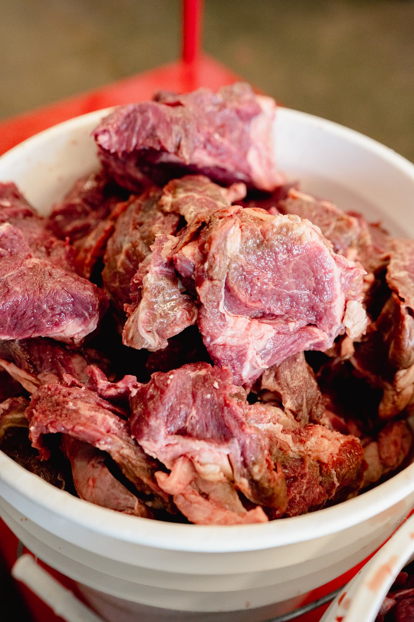 Fresh raw meat cuts ready for preparation