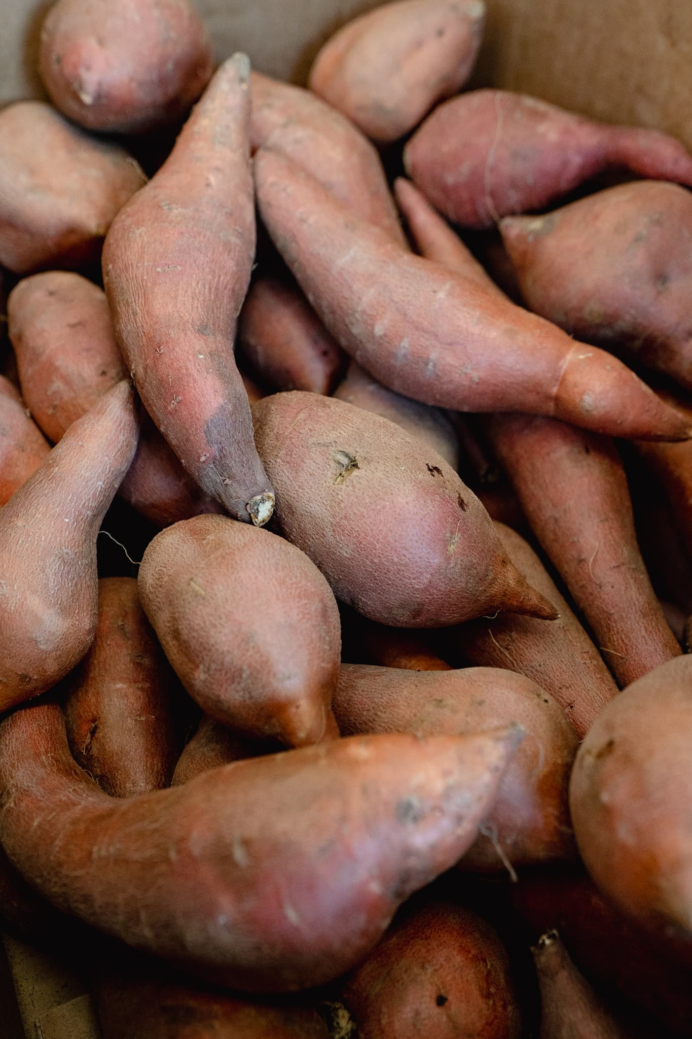 Fresh organic sweet potatoes used in our recipes