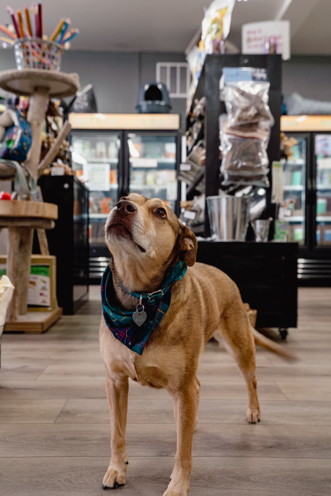 Moxie at our Burien store