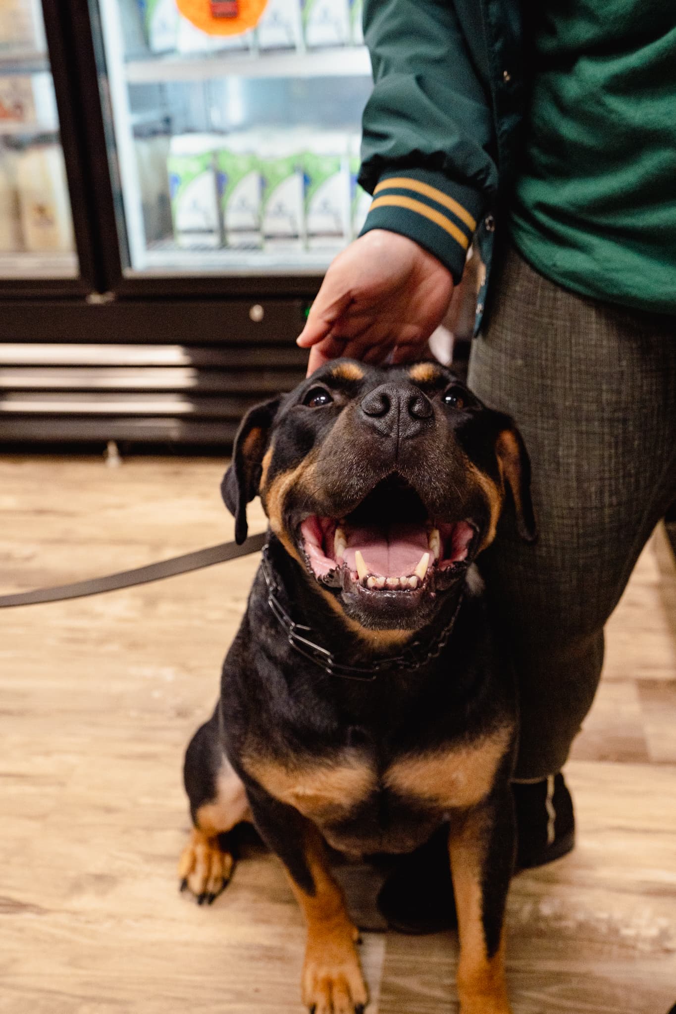 Rudy smiling at Natural Pet Pantry