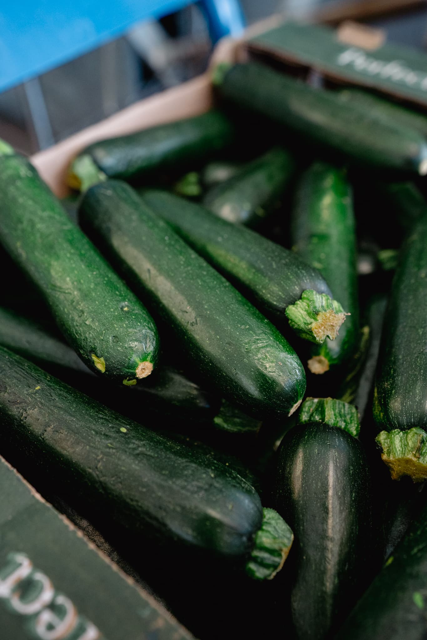 Fresh organic zucchini used in our raw dog food recipes