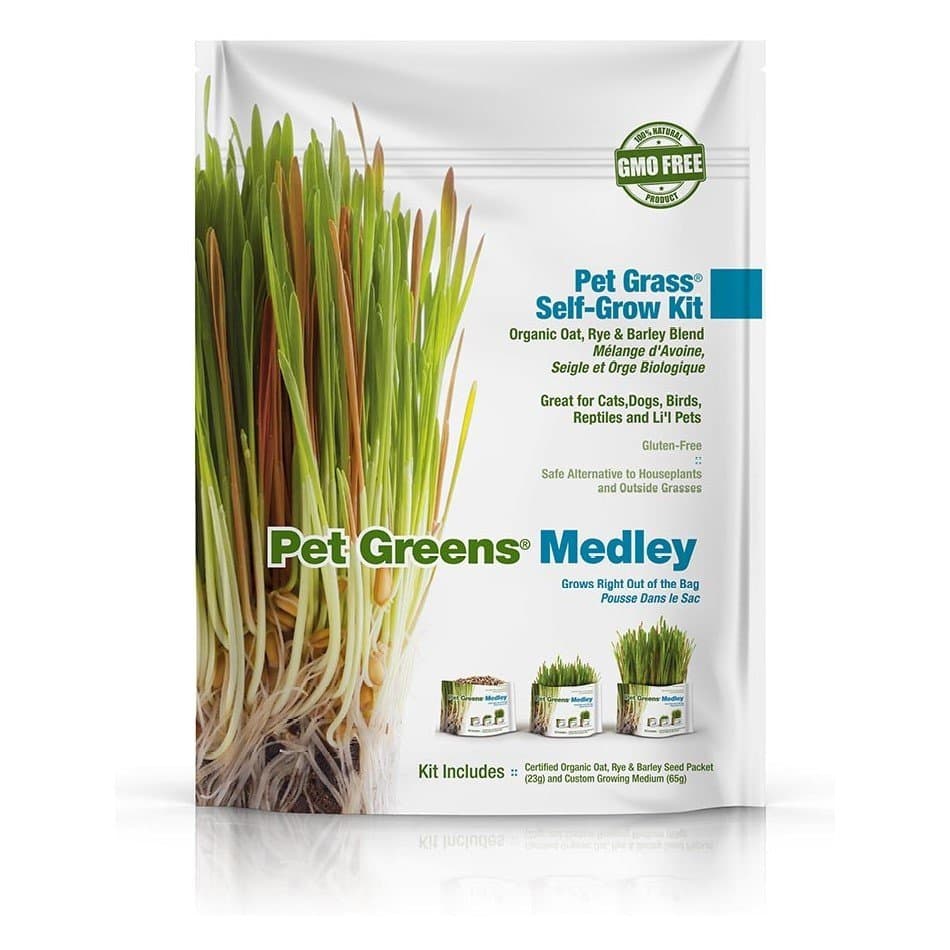 Pet Greens - Self-Grow Grass for Cats Medley Kit