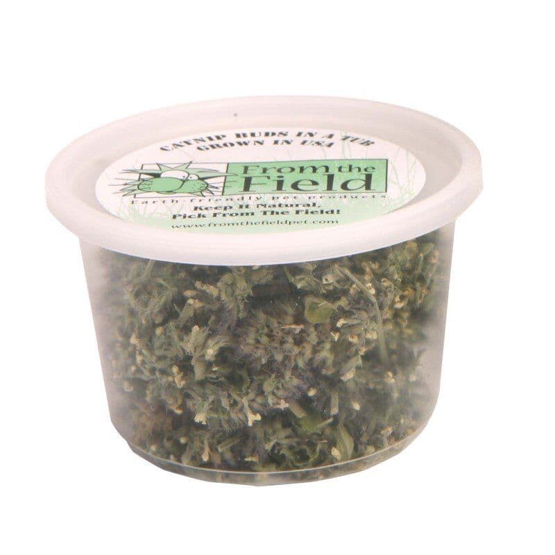 From the Field - Catnip Bud Tub