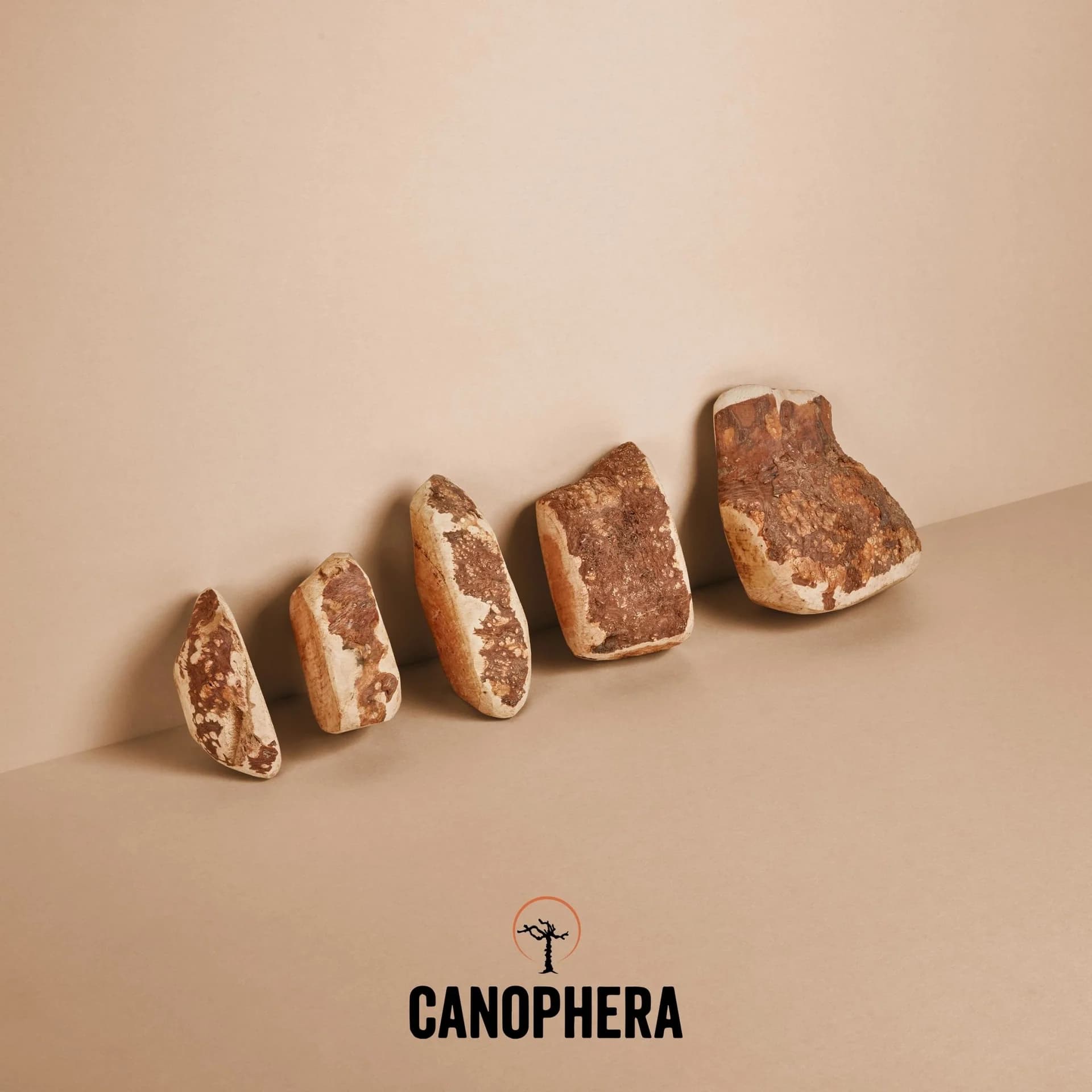 Canophera - Briar Wood Chew