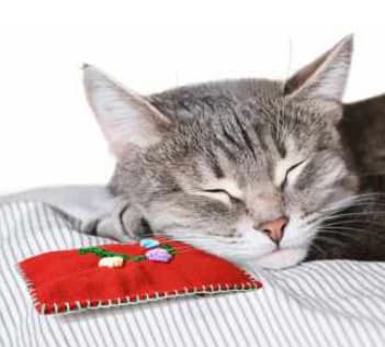 Goli Designs - Kitty Bag