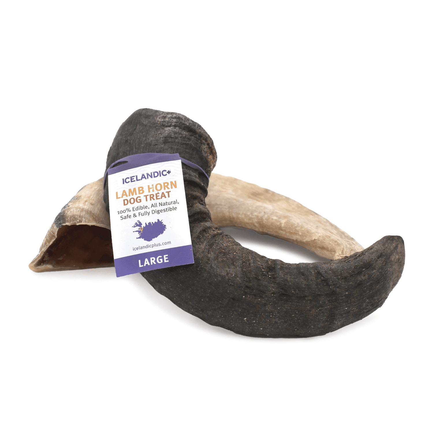 Icelandic - Lamb Horn Chew