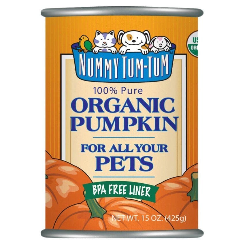 Nummy Tum Tum - Organic Pumpkin Puree