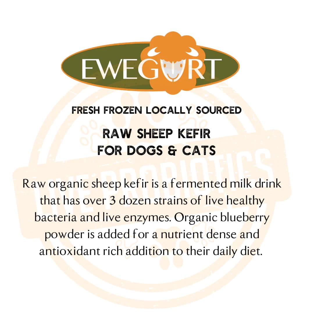 Ewegurt - Raw Sheep Milk Kefir