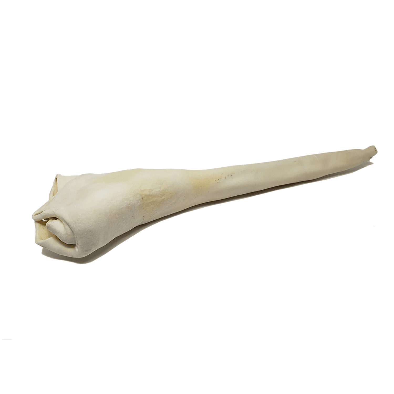 Home Range - Bull Tail
