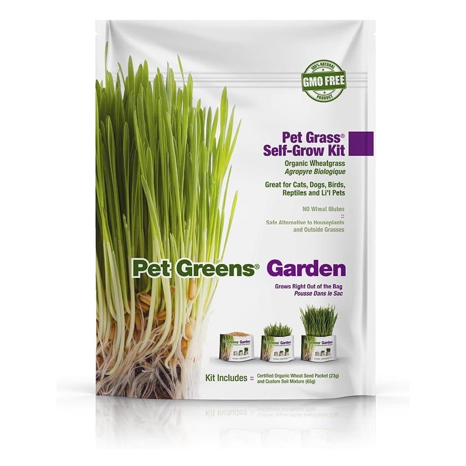 Pet Greens - Self-Grow Grass for Cats Garden Kit