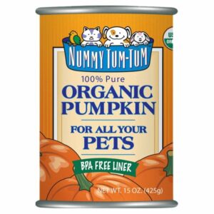 nummy tum tum organic pumpkin supplement 15 oz