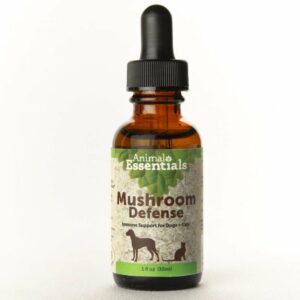 animal essentials mushroom defense tincture 1 oz