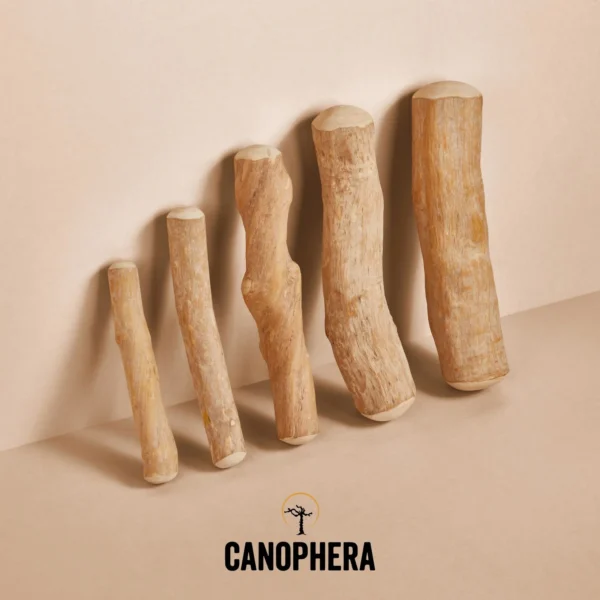 canophera coffee wood chew stick
